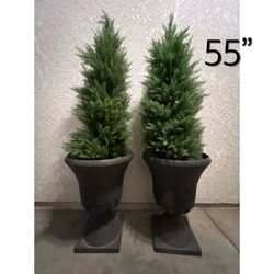 Pair of 55" Artificial Cedar Topiary Trees in Urn Planters