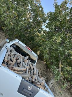 Pistachio Fire Wood 100$ A Load Plus Delivery Fee