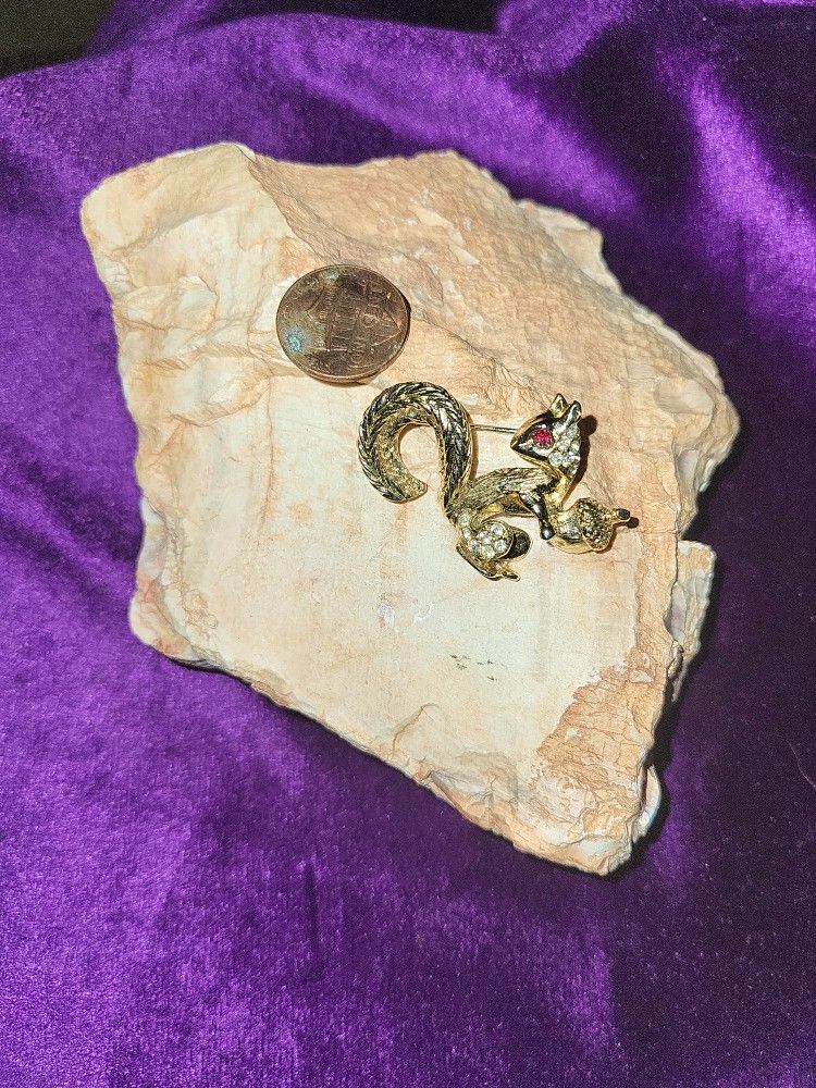 Squirrel With Nut Pin.
