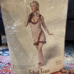 Sexy Indian Costume - Size Small