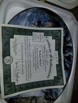 Native American plates artwork