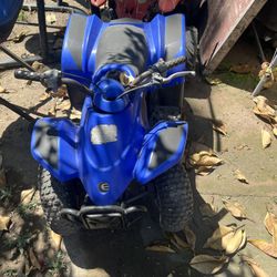 Mini dirt bikes