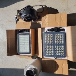Grow Light Set Up