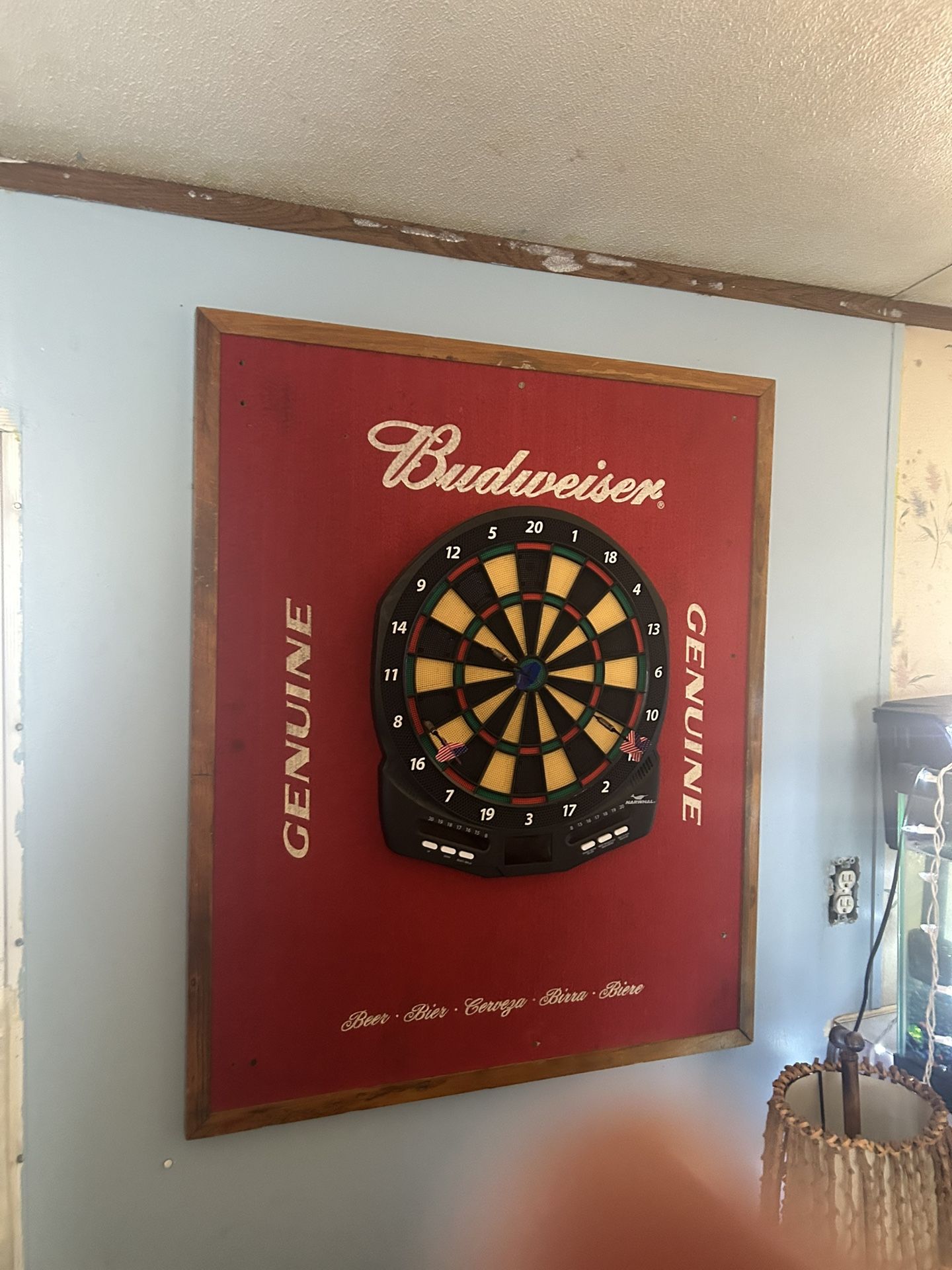 Electric Dart Board And Back Splash