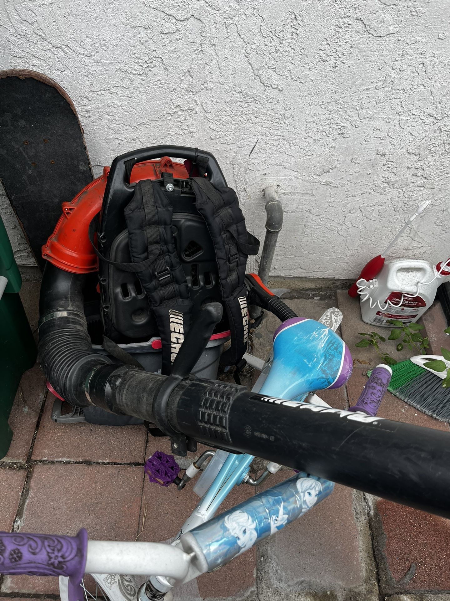 Echo Leaf Blower