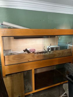 Reptile enclosure