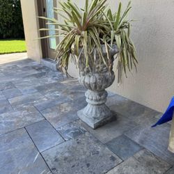 Concrete Urn Planters (2)