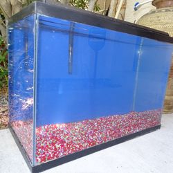 30 Gal Fish Tank, Filter, Light