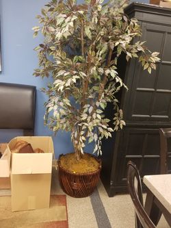 Artificial Plants Assorted Sizes up to 7' $10 to $60