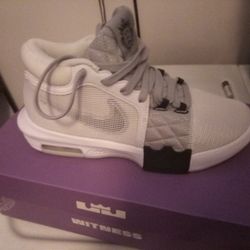 Nike LeBron Witness VIII