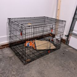 Xtra Large Kong Cage