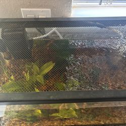 Fish tank