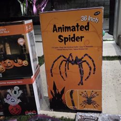 Halloween Decorations And Coustume 