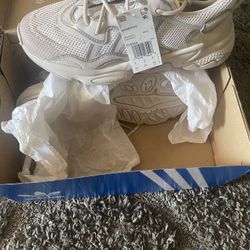 Adidas Shoes 
