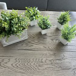 Assorted Artificial Plants 