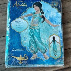 Jasmine Costume