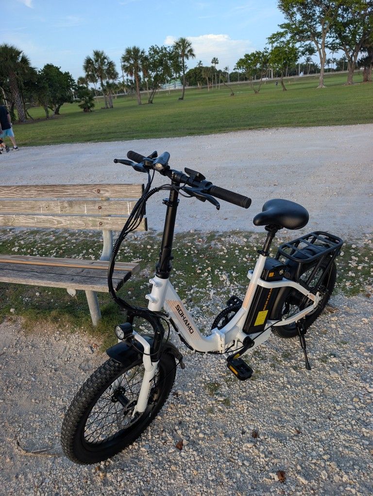 folding electric bicycle