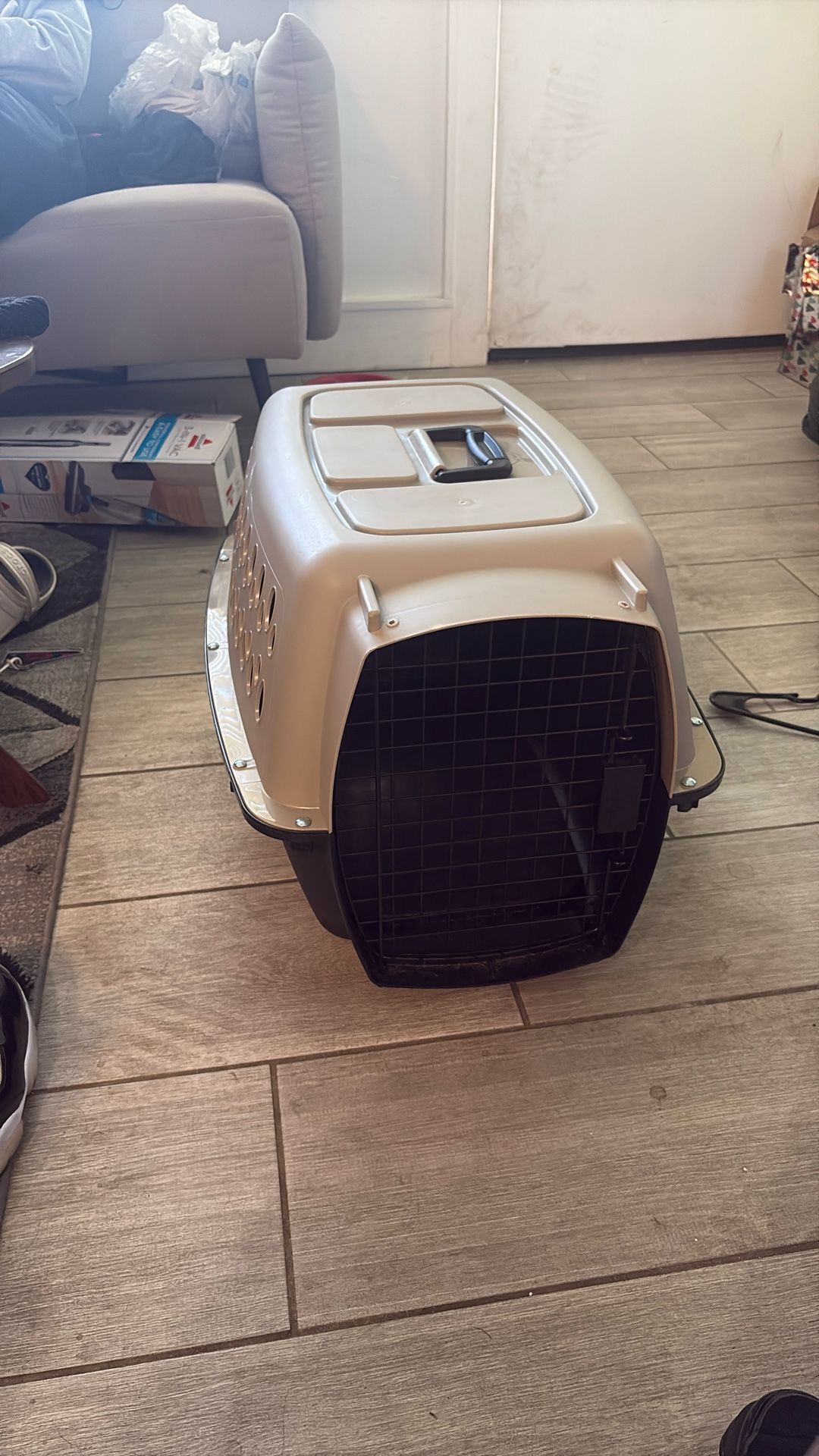 cat/dog