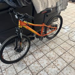 Giant bike for youth