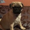 Martina