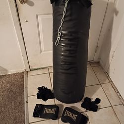 Punching bag (EVERLAST)
