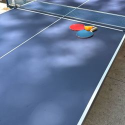 Ping Pong Table 