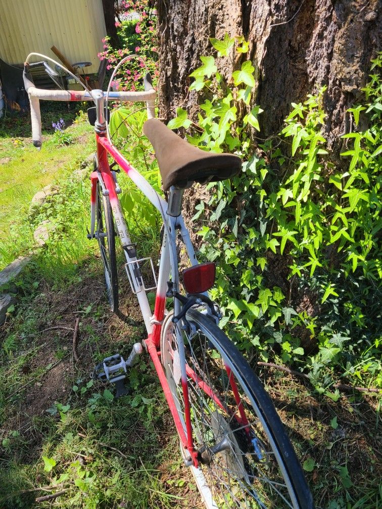 Trek 531 Tri Series Roadbike