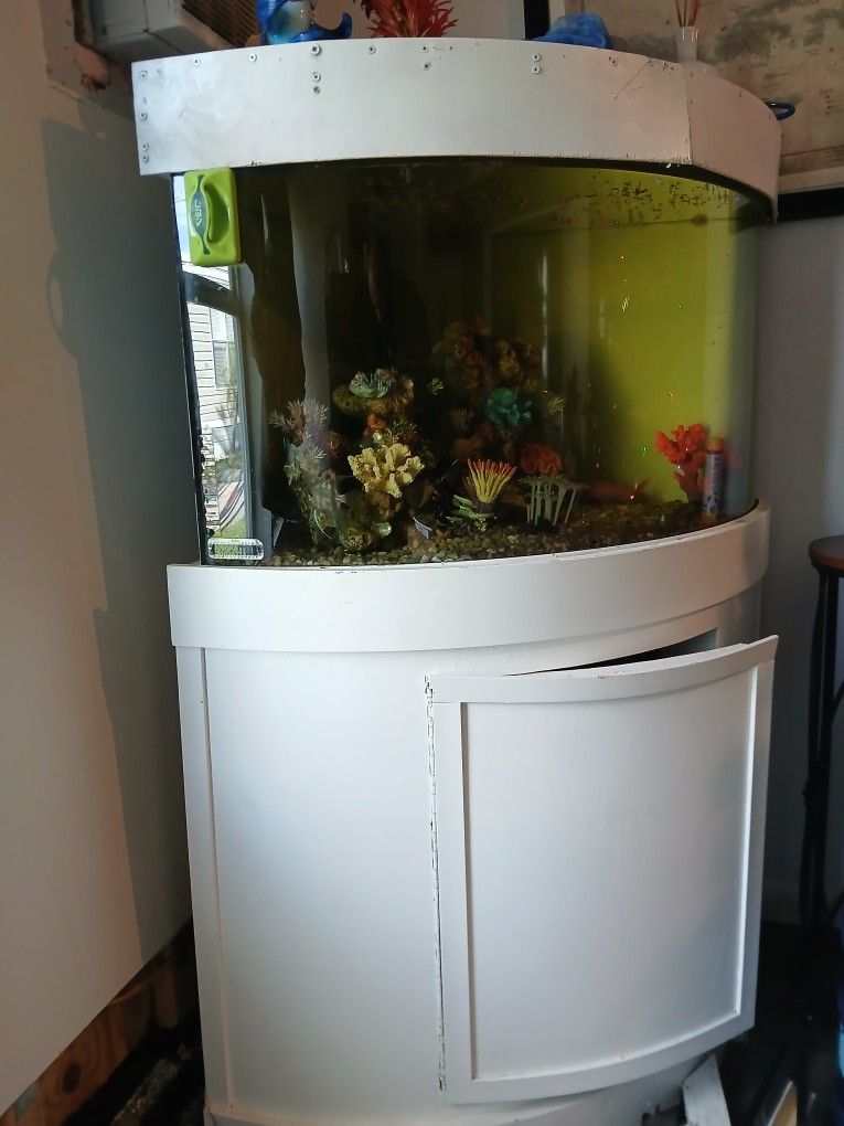 55 Gallon Aquarium