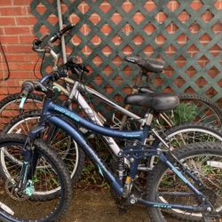 3 Bikes 