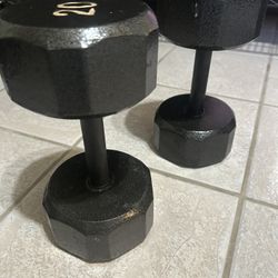 20 Lb Solid Great Grip Dumbell Pair 