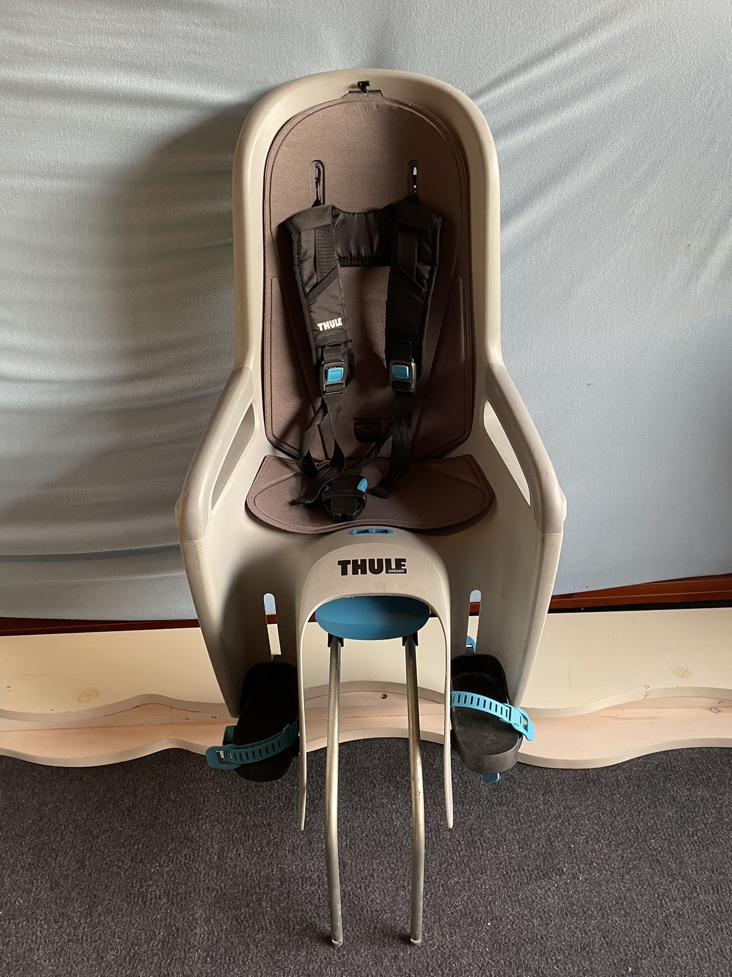 Thule Ridealong Kids Bike Seat