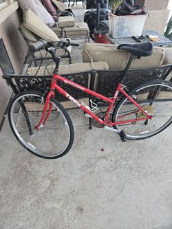 Trek Hybrid Bike