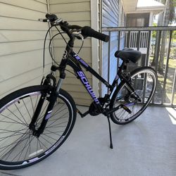 Schwinn GTX1 Comfort Adult Hybrid Bike