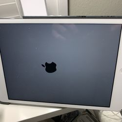 iPad Mini 2, Cellular LTE, 32GB Silver