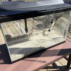 30 Gallon Fish Tank Setup