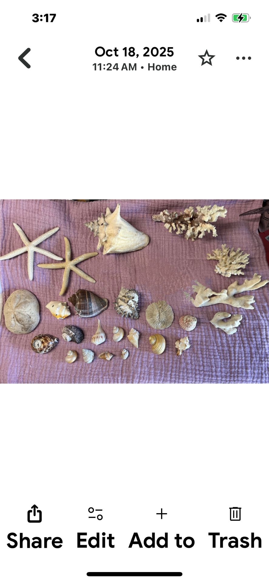 Various Ocean Goodies