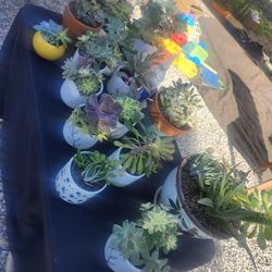 Plants for sale/ yard sale