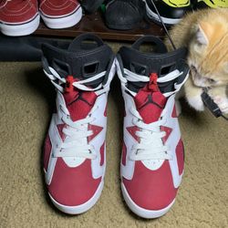 Air Jordan 6 Carmine (2021) - Men's Size 10 (Used