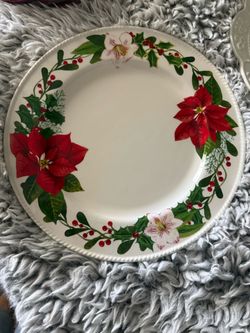 Princess house dinner plates
