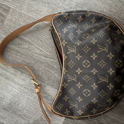 Louis Vuitton Purse
