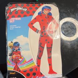 Lady bug costume 