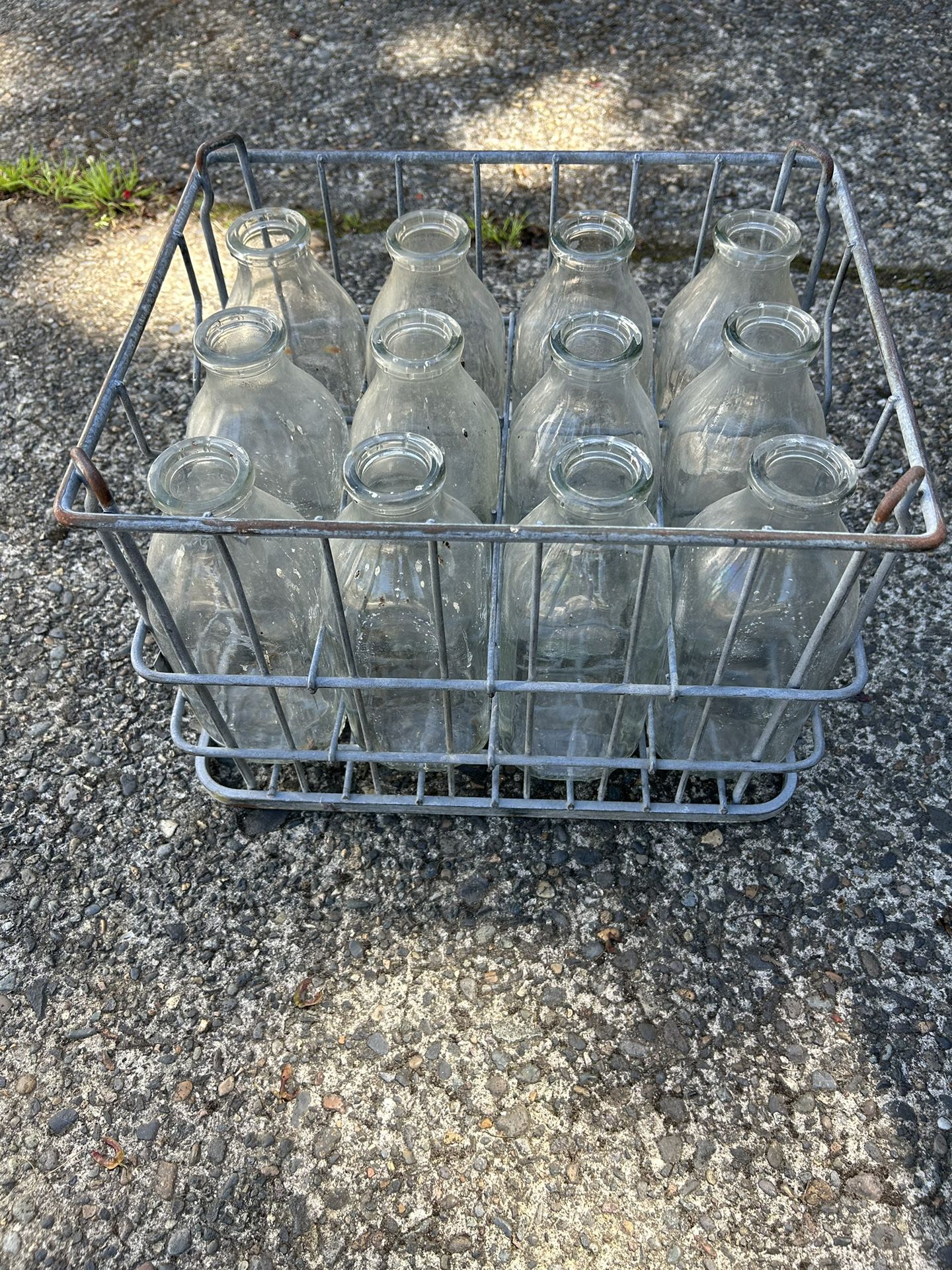Vintage Milk Crate With One Dozen Milk Jugs. All In Good Condition.