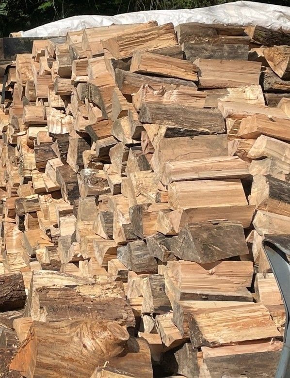 Firewood Ready To Burn $150