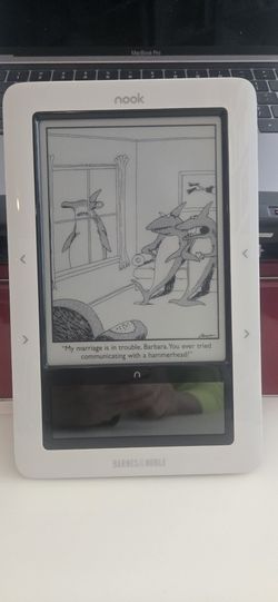 Like New Barnes & Noble Nook 1st Gen. BNRZ100 + Charger + Cable