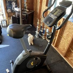 Golds Gym Gold's Gym Cycle Trainer Upright Exercise Bike