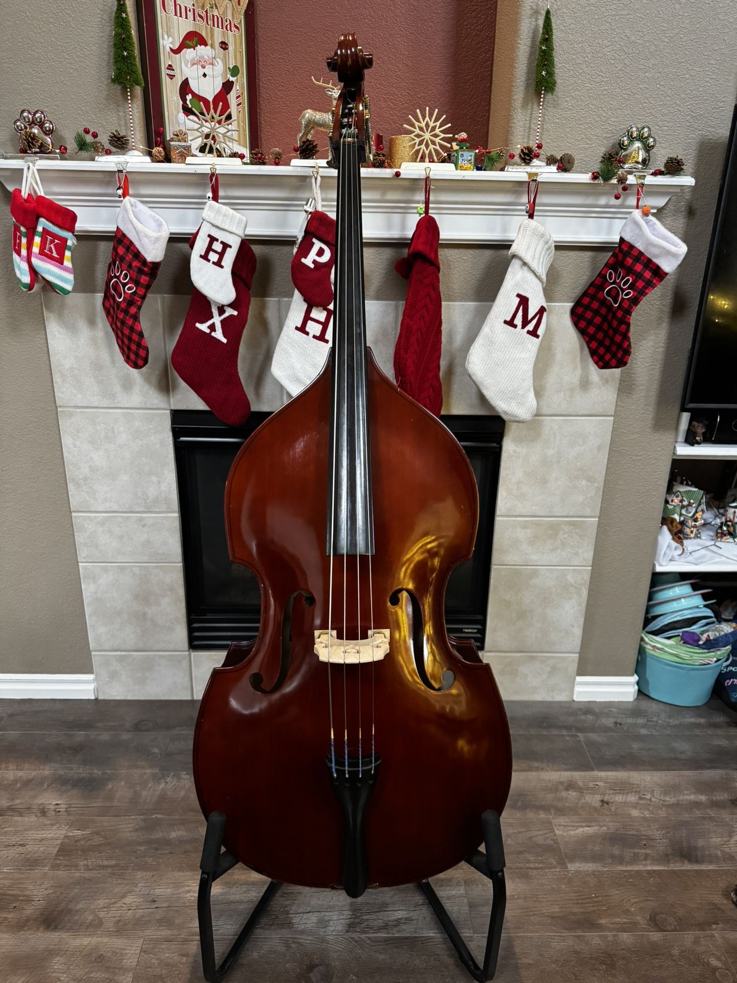 Upright Bass Instrument 1/2 Size-One Owner-Classical and Jazz