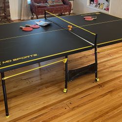 Table Tennis 