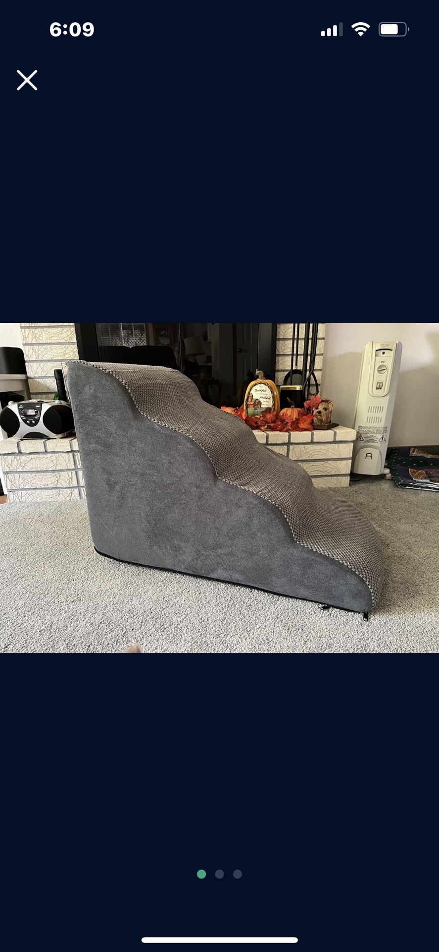 Dog Or Cat Steps