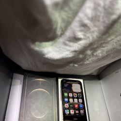 iPhone 12 Pro 256GB [ Gold ] 
