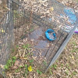 Bab.\n Y duck or chicken cage. Have heat lamps, separate.